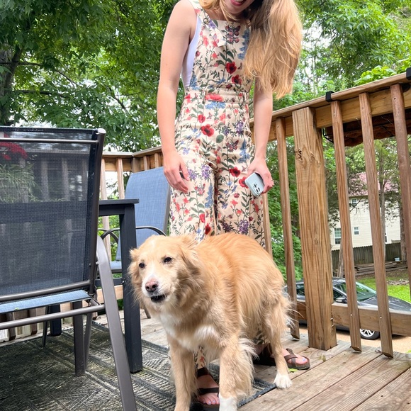 Meet your Posher, River! - Picture 12 of 16